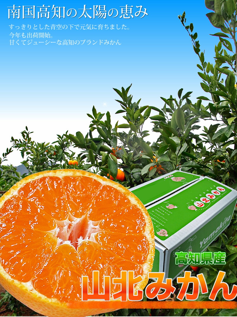 当店販売中のみかん3品 - 第一スーパー公式サイト